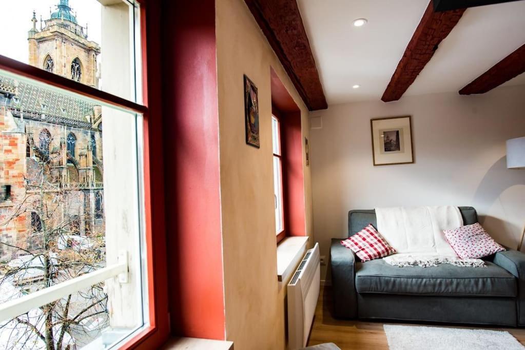 B'M Yerri - Appartement 4 Pers - Vue Cathedrale Colmar Luaran gambar